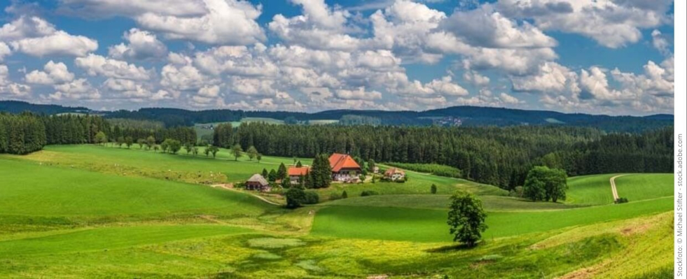 Der Schwarzwald – ein beliebtes Wanderrevier mit mit schönen Wanderrouten für den Rollator